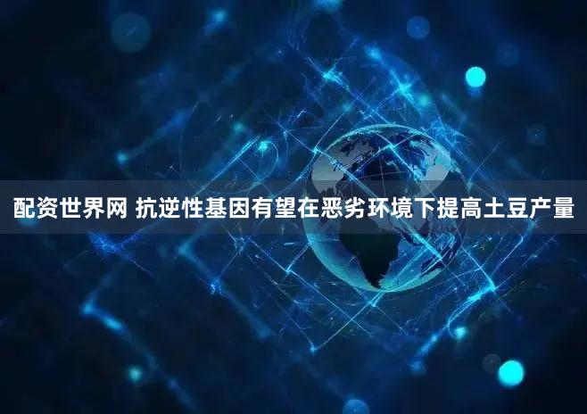 配资世界网 抗逆性基因有望在恶劣环境下提高土豆产量