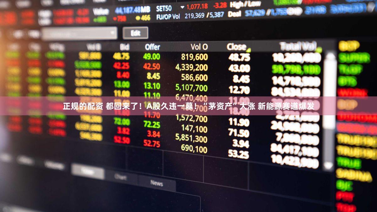 正规的配资 都回来了！A股久违一幕！“茅资产”大涨 新能源赛道爆发