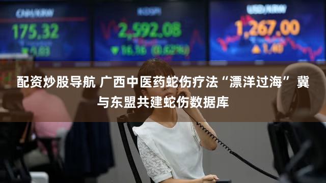 配资炒股导航 广西中医药蛇伤疗法“漂洋过海” 冀与东盟共建蛇伤数据库
