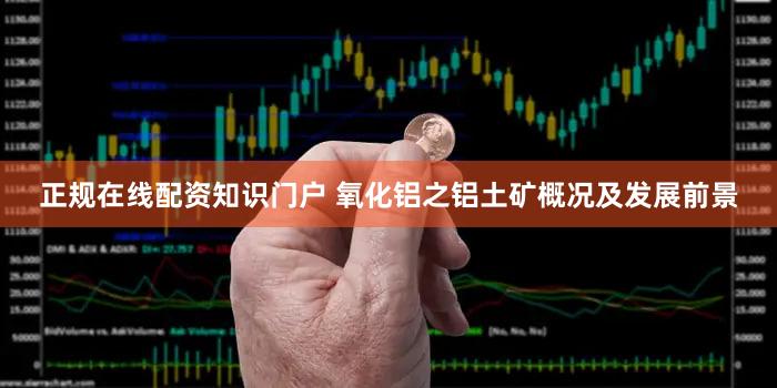 正规在线配资知识门户 氧化铝之铝土矿概况及发展前景