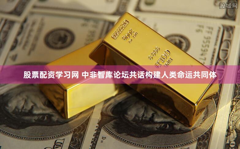 股票配资学习网 中非智库论坛共话构建人类命运共同体