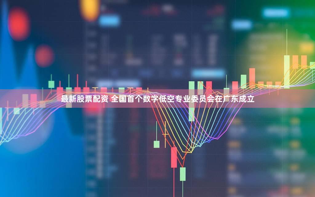 最新股票配资 全国首个数字低空专业委员会在广东成立