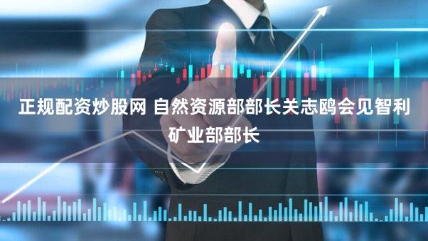 正规配资炒股网 自然资源部部长关志鸥会见智利矿业部部长