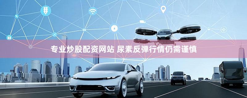 专业炒股配资网站 尿素反弹行情仍需谨慎