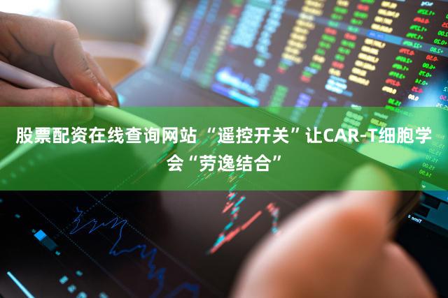 股票配资在线查询网站 “遥控开关”让CAR-T细胞学会“劳逸结合”