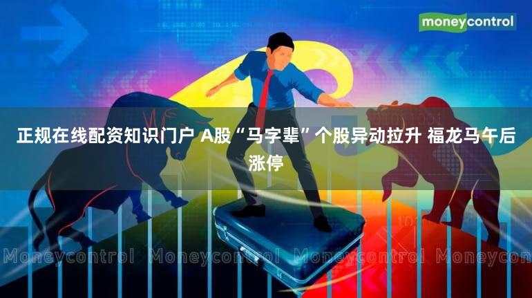 正规在线配资知识门户 A股“马字辈”个股异动拉升 福龙马午后涨停