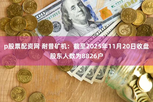 p股票配资网 耐普矿机：截至2025年11月20日收盘股东人数为8826户