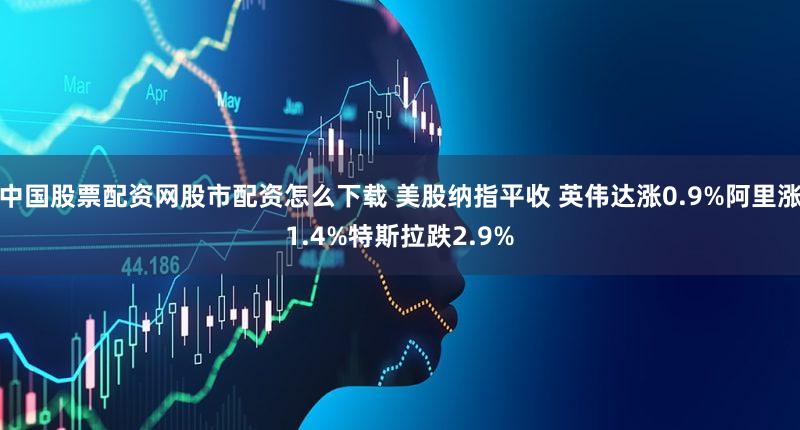 中国股票配资网股市配资怎么下载 美股纳指平收 英伟达涨0.9%阿里涨1.4%特斯拉跌2.9%