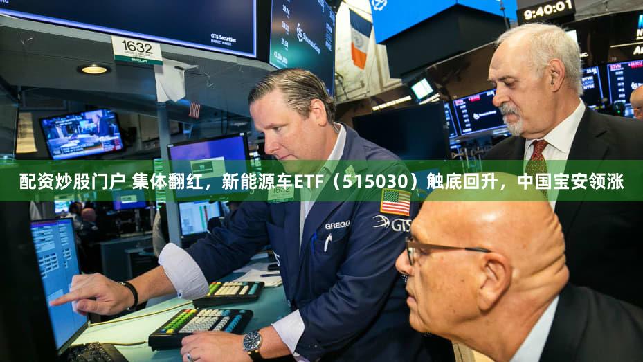 配资炒股门户 集体翻红，新能源车ETF（515030）触底回升，中国宝安领涨